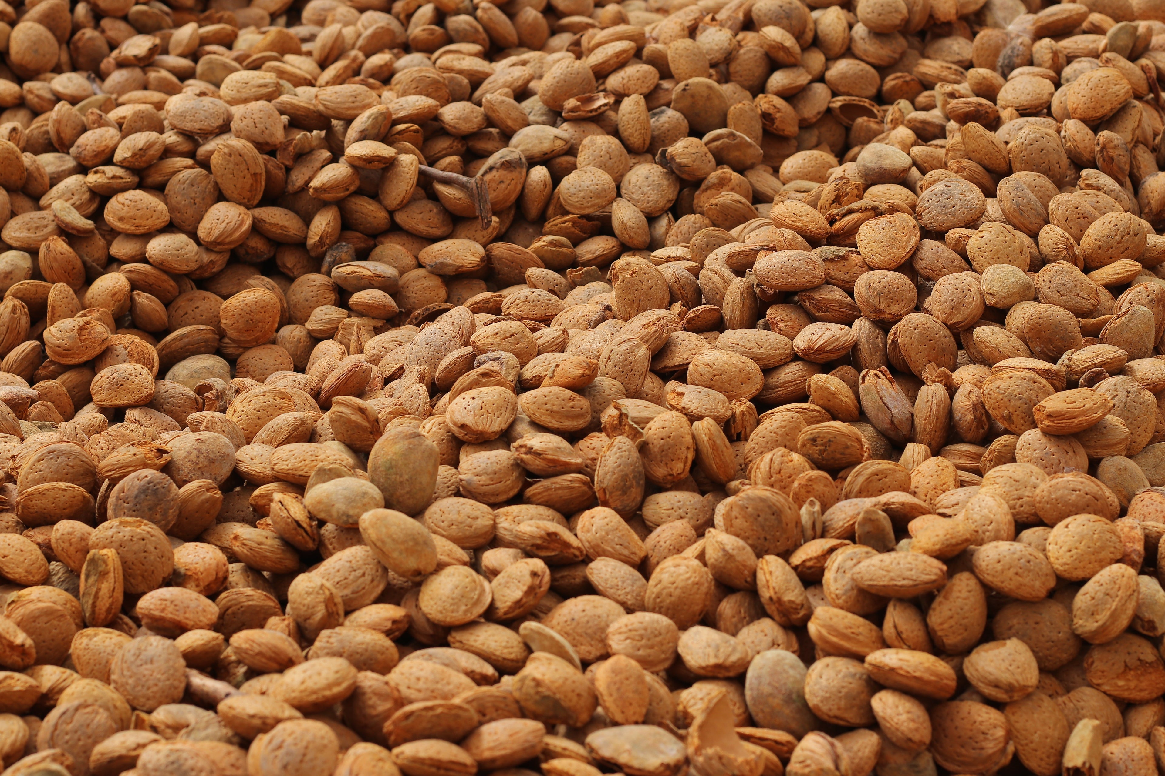 Almonds